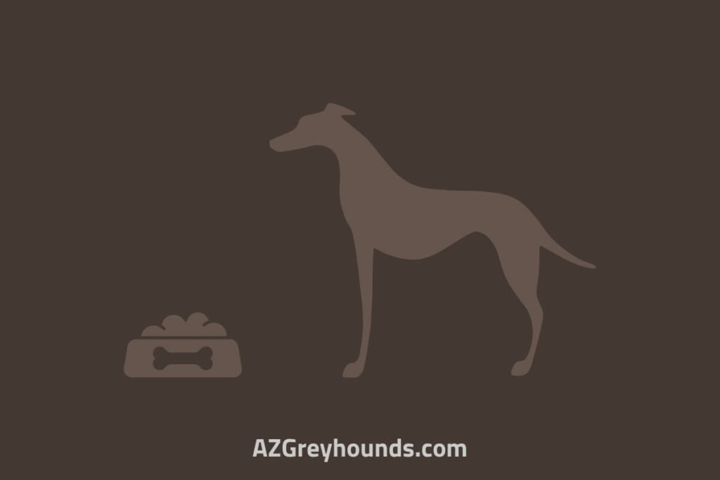 can greyhounds eat