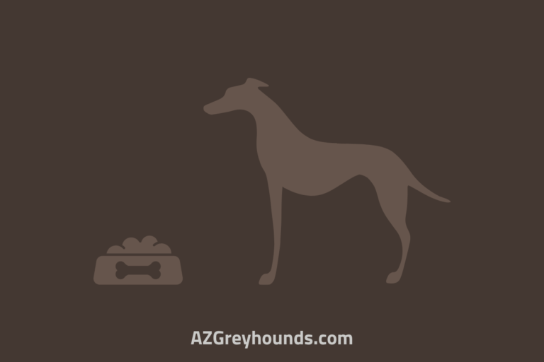 What Can Greyhounds Eat 15 Popular Foods, Their Benefits & Dangers