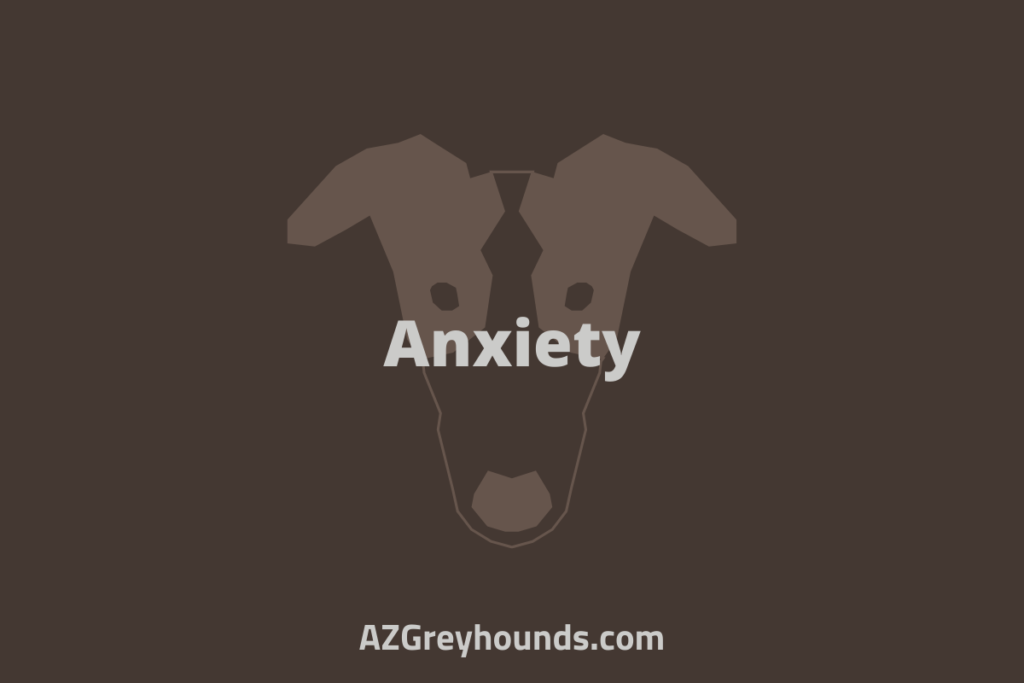greyhound teeth chattering while sleeping