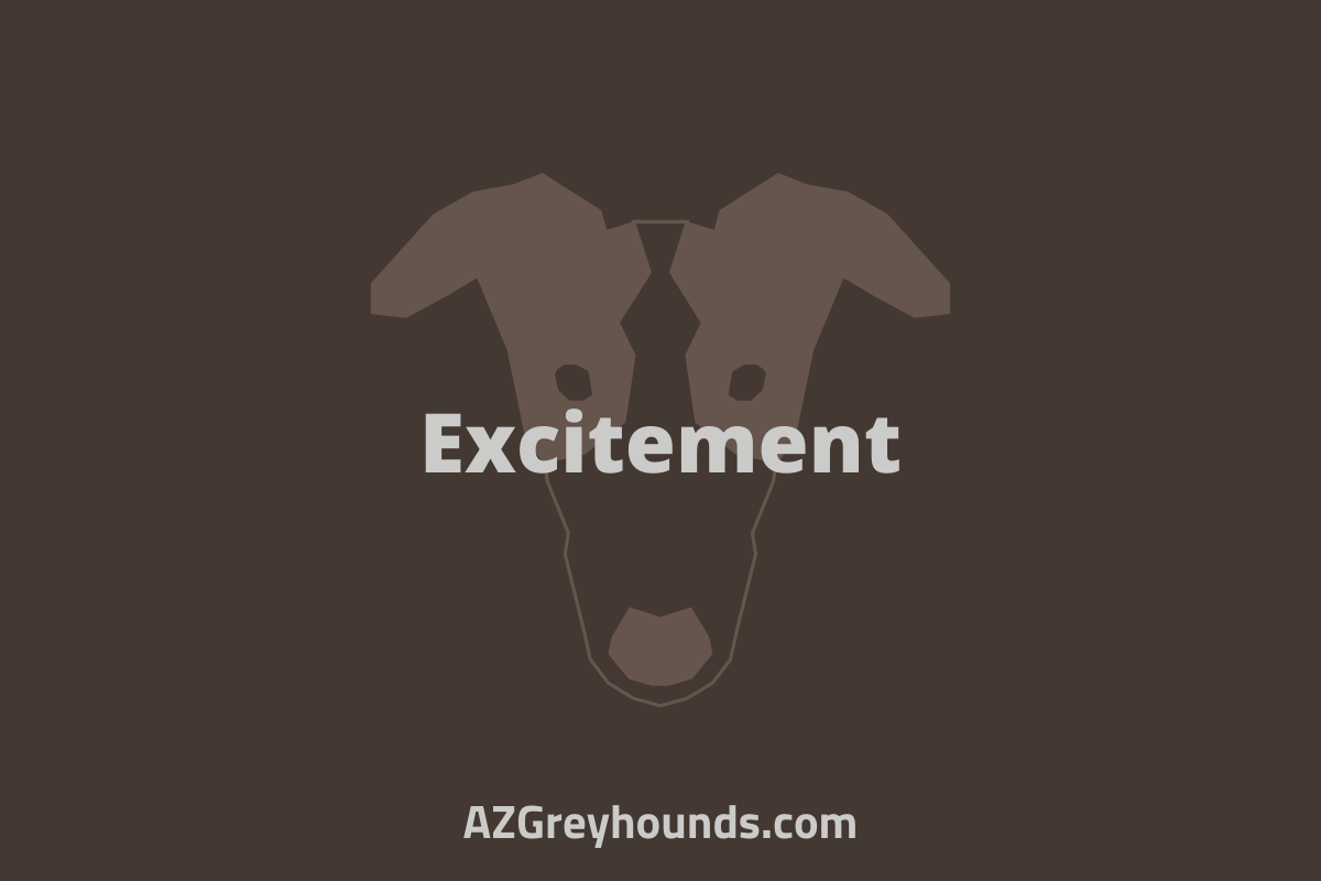 Greyhound Teeth Chattering 7 Possible Reasons & Solutions