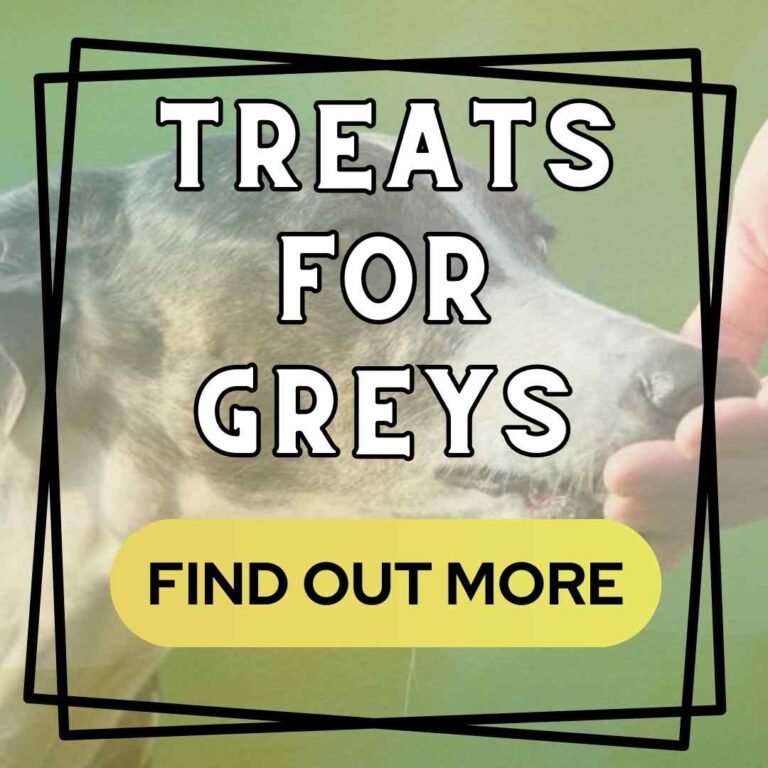 What Can Greyhounds Eat 15 Popular Foods, Their Benefits & Dangers