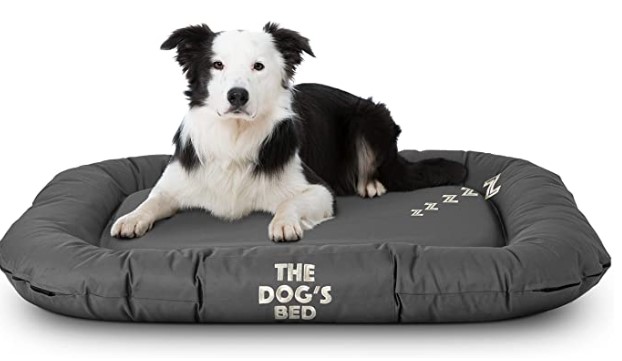 the dog's bed utility waterproof