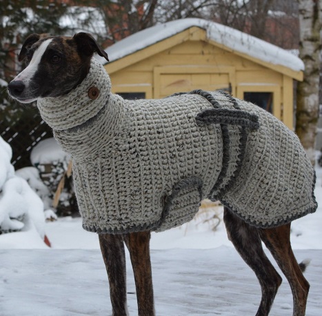greyhound knitted jacket