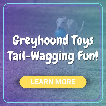 Greyhound Toys