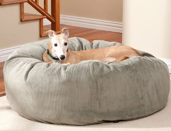 donut bed for greyhounds